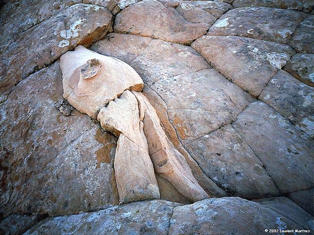 body_found